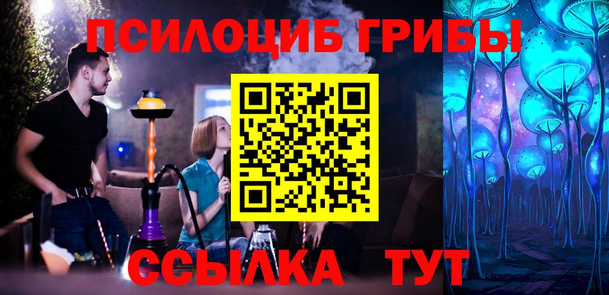 Волжск  Галлюциногенные грибы прущие грибы  Вход с VPN 